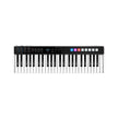 I10-IP-IRIG-KEYSIO49-IN_0.89366800_201519812265.jpg