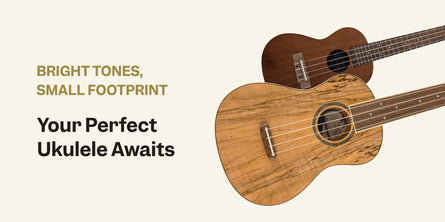 Ukuleles | Swee Lee Philippines
