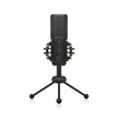 Behringer BU200 Premium Cardioid Condenser USB Microphone (000-F6X00)