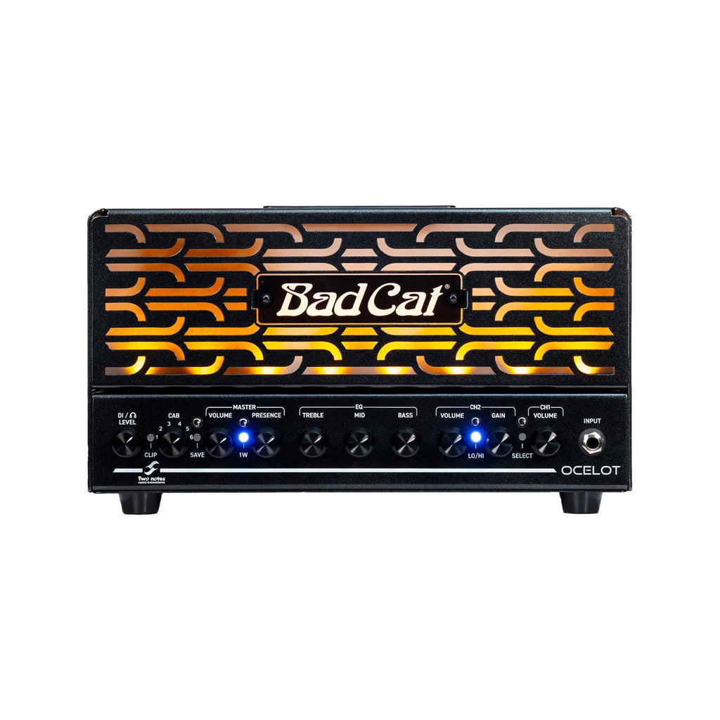 Bad Cat Ocelot 20W Lunchbox Amp Head