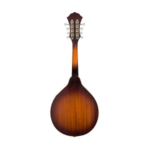 Fender PM-180E Mandolin, Walnut FB, Aged Cognac Burst