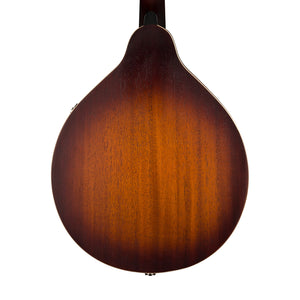 Fender PM-180E Mandolin, Walnut FB, Aged Cognac Burst
