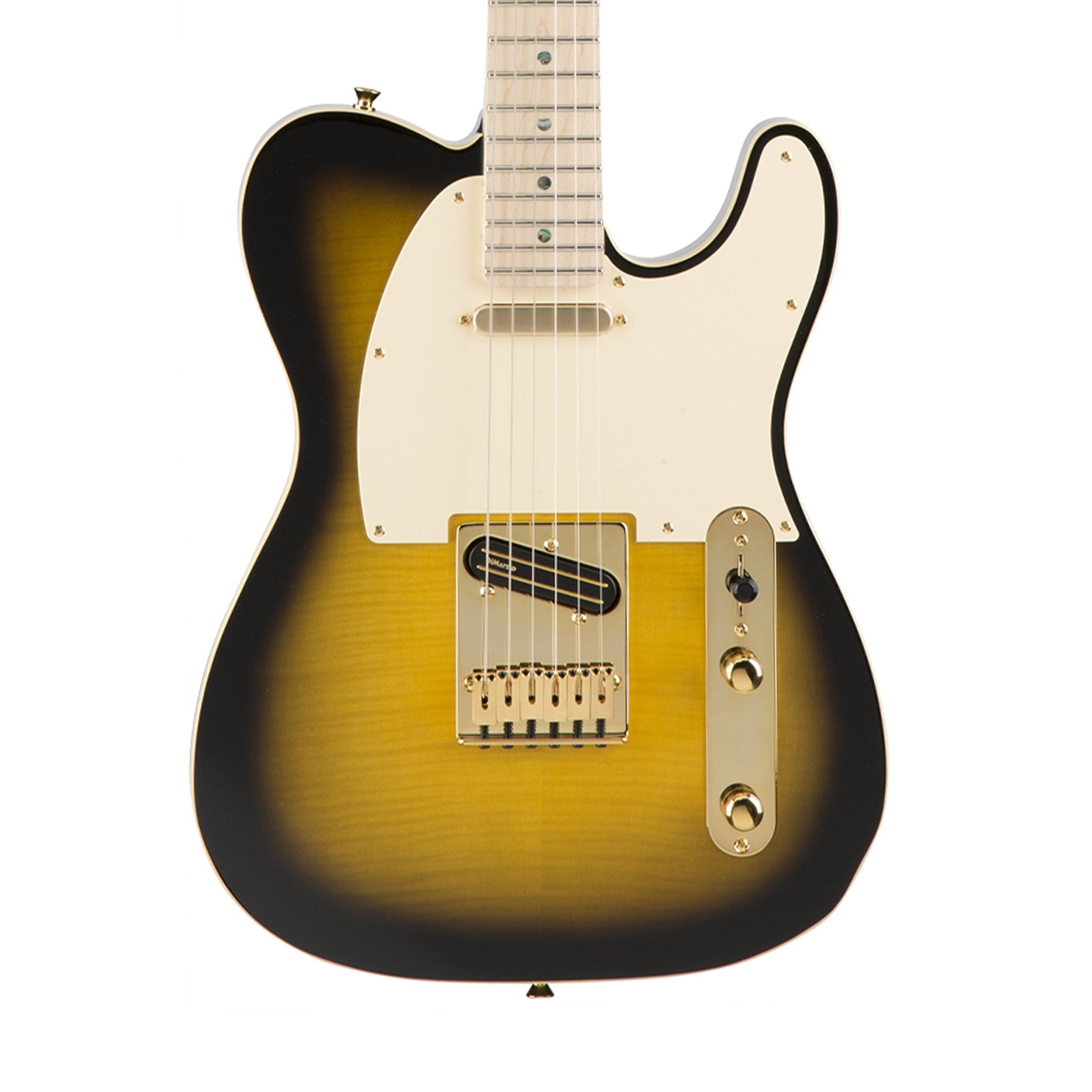 Fender Japan Ritchie Kotzen Signature Telecaster Electric Guitar