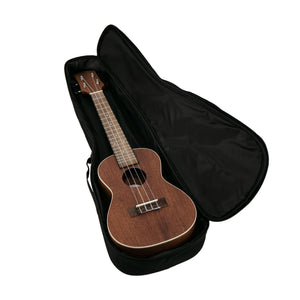 Harmony Foundation Series e-Sierra Concert Ukulele w/Bag, Natural Satin