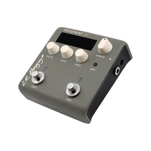 products_2FL16-VOICEPRINT-DI_2FL16-VOICEPRINT-DI_1614343676331.jpg