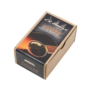 Lowden LR Baggs Anthem Split Saddle Pickup System