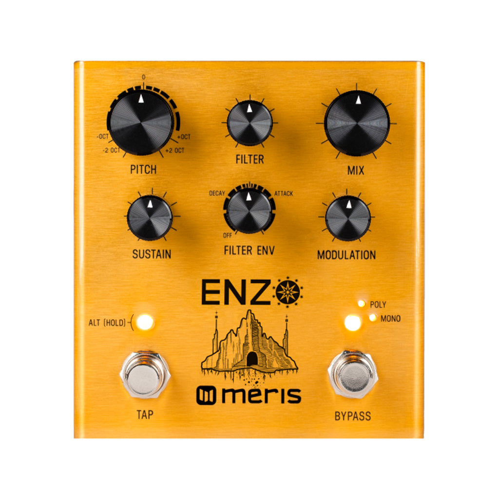 Meris Enzo Multi-Voice Instrument Synthesizer Pedal – Swee Lee